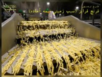 طرح توجیهی فرنچ فرایز