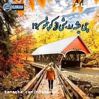 اهنگ احساسی