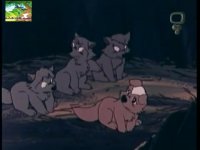 بهترین داستانهای دنیا- پیشونی سفید