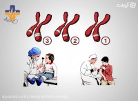 دانستنی ها - چگونگی تغییر زندگی انسان با کمک علم ژنتیک