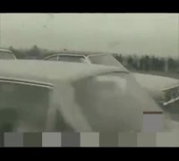 سیزده بدرتون شاد