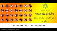 مایع کک کش و کنه کش بسیارقوی فلازتیک مانگ