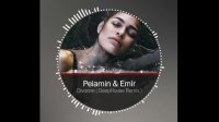 پیامین و امیر - تک آهنگ دیوونه (ریمیکس)