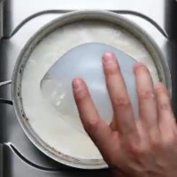 کراکت مرغ برزیلی