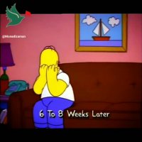 که ویروس کرونا رو پیش بینی کرده بود(انیمیشن سیمپسون ها)