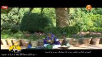آموزش آسان دم پختک سیر و نرگسی- غذای محلی شیراز