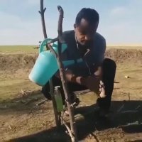 خلاقیت عالی