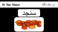 خواص و فواید سنجد - 3