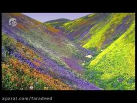 آیا علم می تواند انسان را جاودانه کند؟