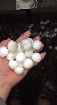 بارش دیشب تگرگ در سردشت