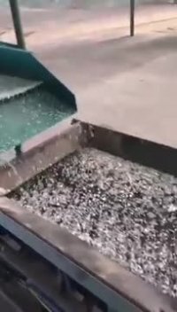 گلاسبید تهران 09129439194