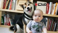 زندگی بامزه بچه ها با حیوانات