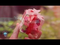 درست کردن گیف