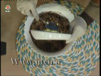 ترشی لیته ی با دمجان