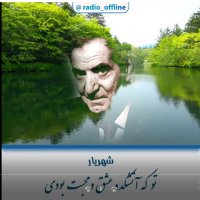 تو که آتشکده عشق و محبت بودی ـ شهریار