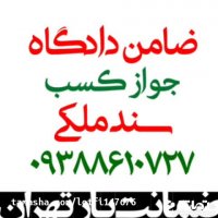 ضامن دادگاه فیش حقوقی 09388610727