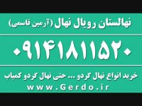 بهترین نهال گردو در ایران خرید فروش قیمت 09141811520