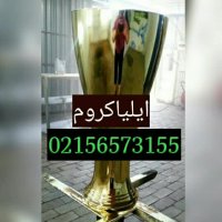 قیمت و ساخت دستگاه ابکاری فانتاکروم/قیمت دستگاه مخمل پاش09127692842