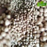 فروش نخود درجه یک کرمانشاه