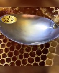 خواص اعجاب انگیز عسل های وحشی