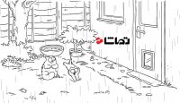 گربه سایمون - بارش باران
