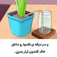 ترفند آبیاری گیاهان در مسافرت