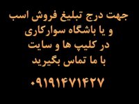 بزرگترین سایت اسب و سوارکاری ایران