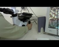 متالوگرافی 2  .flv