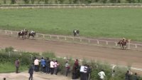 مسابقات اسبدوانی بهاره گنبد سال 98 - هفته سوم کورس اول
