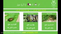 علف کش کروز – Cruz (Nicosulfuron) 4% SC علف کش تخصصی برای مزارع ذرت