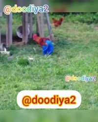 باحالترین صداگذاری که نباید از دستش داد