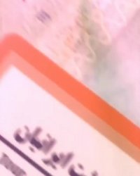 اخذ ویزای شینگن از طنین گشت