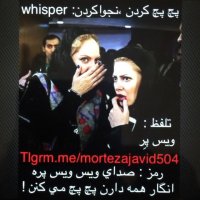 صدای ویس ویس پره انگار همه دارن پچ پچ میکنن