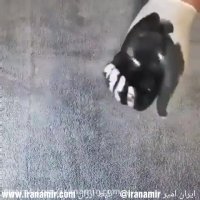 این کلیپ خیلی ساده و پیش پا افتاده به نظر می رسد، اما