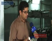 قزوین؛ رتبه سوم تولید قارچ کشور