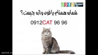 سیم کارت همنام یا فون واژه