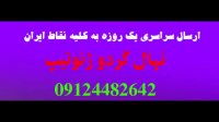 نهال گردو پکان – قیمت نهال گردو پکان 09121270623