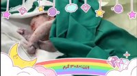 فیلم زایمان سزارین دکتر ابطحی در بیمارستان مازندرانی ساری