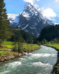 شما رو به چند لحظه زندگی دعوت میکنم