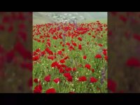 یاد ایام خان کندی