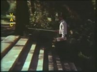 گلهای داوودی - Golhaye Davoodi