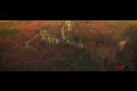 حمید عسکری - باور کن