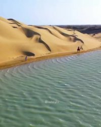زیبایی مسحور کننده ایران از تلاقی کویر و دریای بندر تنگ