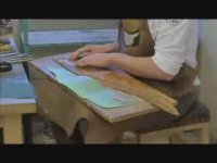 کفش از جنس ماهی