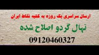 قیمت خرید و فروش انواع نهال گردو در نجف‌آباد | 09121263524