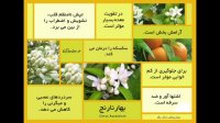 خواص بهار نارنج برای داشتن خوابی آرام