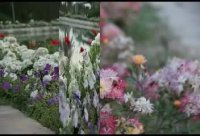 عید فطر بر همه مسلمانان مبارک باد