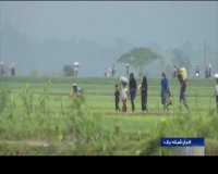 فاجعه انسانی در میانمار