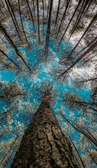 نشانه ی عشق