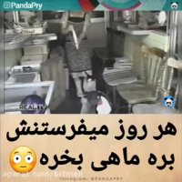 پنگوئن هر روز میفرستنش بره ماهی بخره خیلی باحاله!!